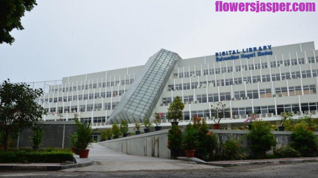 Jurusan Universitas Negeri Medan Paling Favorit Dengan Peluang Kerja Terbesar